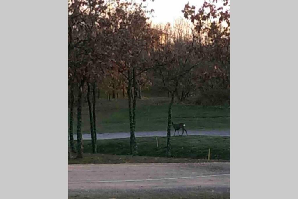 León Golf CasaKalma Villa Exterior foto